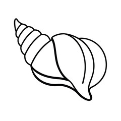 Seashell graphic perfect for seasonal themes Vector illustration
