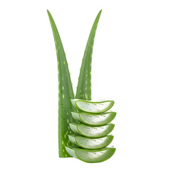 Fresh Aloe Vera Plant Leaves Sliced Showing Gel Inside Perfect for Herbal Medicine Cosmetics and Skincare Products, transparent background