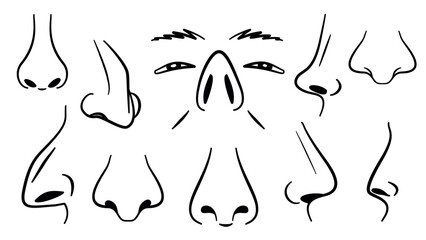 Nose Icon Line Vector Set, Human Face Organ Collection
