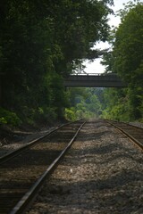 railway in the forest
