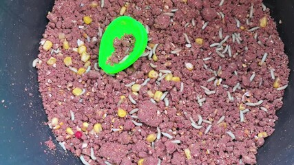 Mixing fish bait with maggots and ingredients for successful angling in warm weather