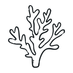 Fototapeta premium Black and white hand-drawn coral illustration in simple line art style – stock vector icon in line drawing style