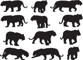 Naklejka premium Colorful tagger design with helvetica and courier fonts