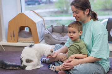 Caucasian little boy with mother in cat cafe. 