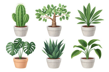 Fototapeta premium Six potted plants realistic P N G isolated on a transparent background