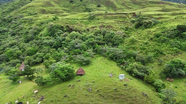 Small indigenous farm with cows and traditional huts in a green highland valley of Ng&auml;be-Bugl&eacute;, Panama