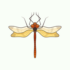 Detailed Dragonfly Insect Hand-Drawn Illustration