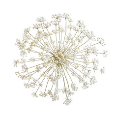 Obraz premium A delicate Christmas snowflake illustration, a symbol of winter's frosty beauty, isolated on a clean white background