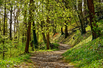 beautiful morning in the ancient city of Eichstatt