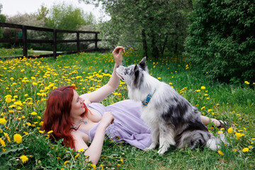 red-haired girl with curly hair walks with a marble-colored border collie dog. The girl in the...