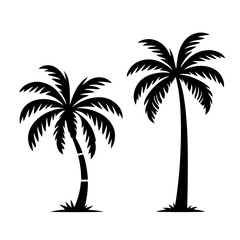 Fototapeta premium Palm Tree Silhouette