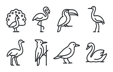 linear style icons of animals: peacock, flamingo, toucan, crane, ostrich, woodpecker, crow, swan.