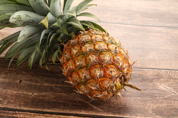 Tropical sweet exotic Pineapple fruit