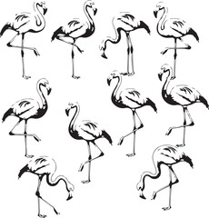 Flamingo bird design line drawing