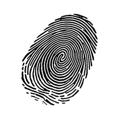 Fingerprint Isolated on White for ID Verification and Tech Themes