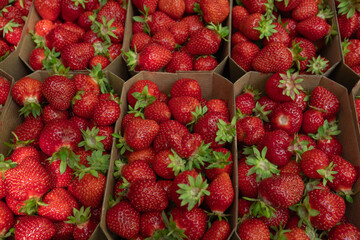 A bountiful overhead view of numerous vibrant red strawberries presented in several cardboard...