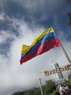 Bandera de Venezuela ondeando al Viento