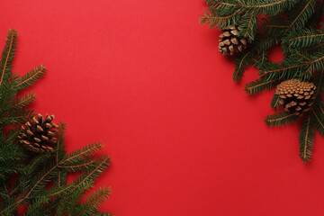Bright New Year background with fir branches