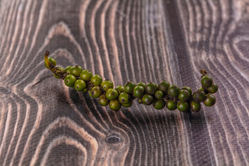 Ripe green pepper corn branch