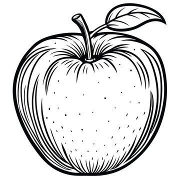 Detailed black and white illustration of an apple with a stem and leaf
