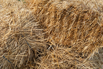A full-frame, close-up view of dried hay or straw, revealing its textured surface and various...