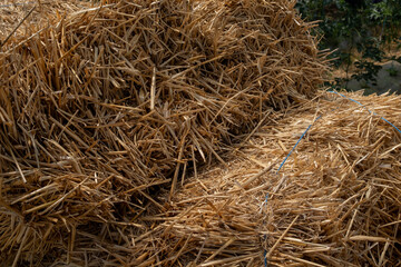 A full-frame, close-up view of dried hay or straw, revealing its textured surface and various shades of golden brown, suitable for agricultural and rustic themes