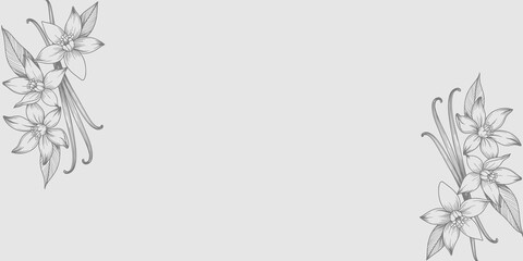 Botanical floral illustration in hand drawn line art style with soft outline

