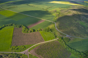 Winding roads through fields with sunrays, drone aerial view.