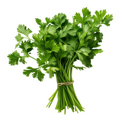 Fresh Cilantro: Culinary Herb - Recipes & Uses on transparent background png