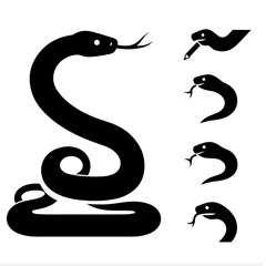 Fototapeta premium Snake Silhouette