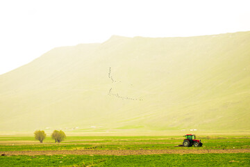 Tractor in tranquil green valley with birds flying over misty mountains