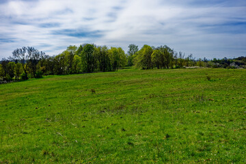 beautiful morning in the ancient city of Eichstatt