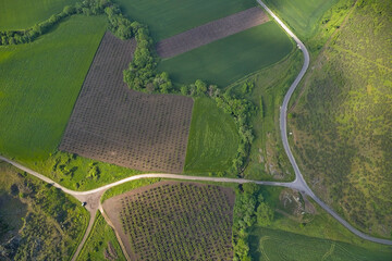 Winding roads through fields with sunrays, drone aerial view.