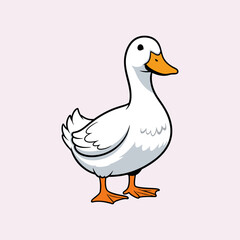 vector illustration of a male duck on a white background