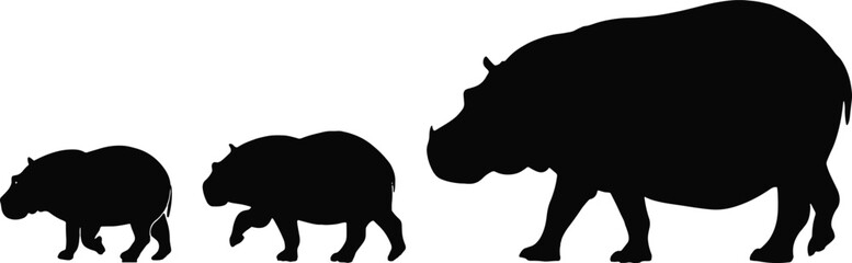 Three Black Hippopotamus Silhouettes Different Sizes