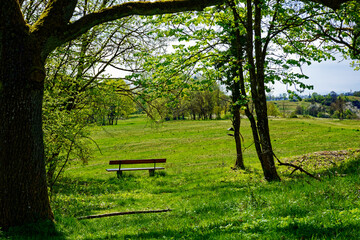 beautiful morning in the ancient city of Eichstatt