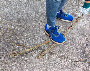 Male feet in blue sneakers break a branch after pruning European larch. Gardening.