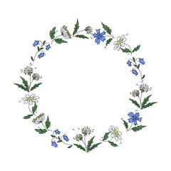Hand drawn flowers. Round frame, border. Cartoon multi-coloured meadow plants. Place for text. Hand drawing, doodle illustration. Colour icons Dandelion, chamomile, bluebell.