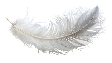 Obraz premium ethereal white feather floating on pure isolated on white background PNG , AI GENERATED