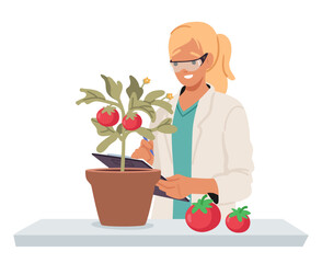 Scientist cartoon character checking quality of cultivated tomatoes plant in lab isolated on white