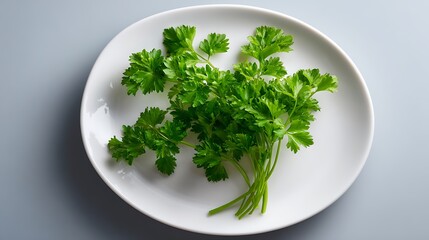 Fresh Parsley Sprigs on a White Plate