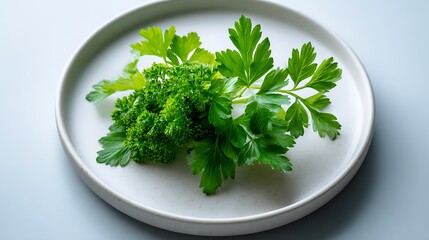 Fototapeta premium Fresh Parsley Sprigs on a White Plate