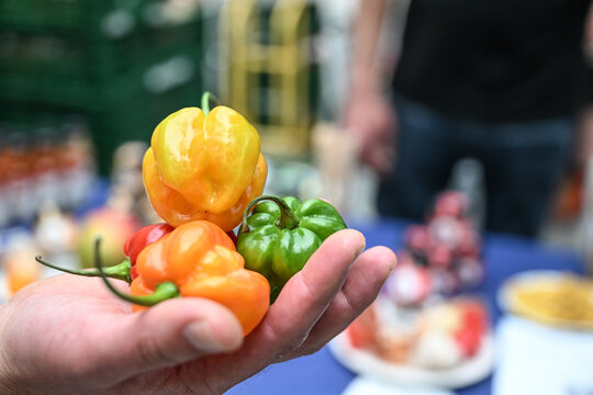 alimentation piment  piquant epicé