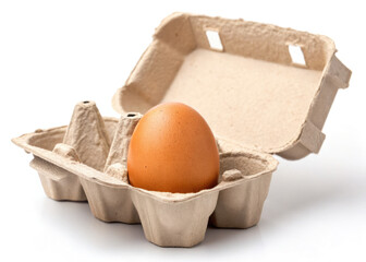 Single brown egg in cardboard egg carton