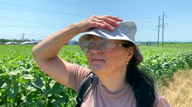 Lady think about environmental protection in sunflower field Slow motion video: green sunflowers, hand of lady hold hat, she thinking about environmental protection. Environmental protection concept