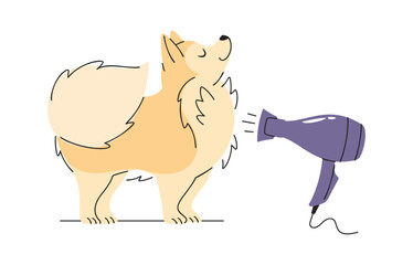 Cute dog drying wool cartoon