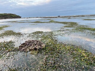 Bali. Nusa Dua beach during low tide