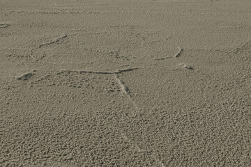traces on salt