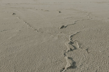footprint in the sand