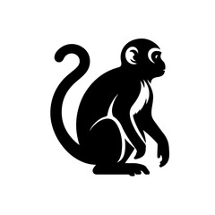 Fototapeta premium monkey silhouette